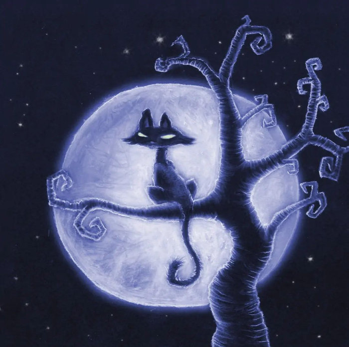 Stray Cat von Nordschattengewaechse